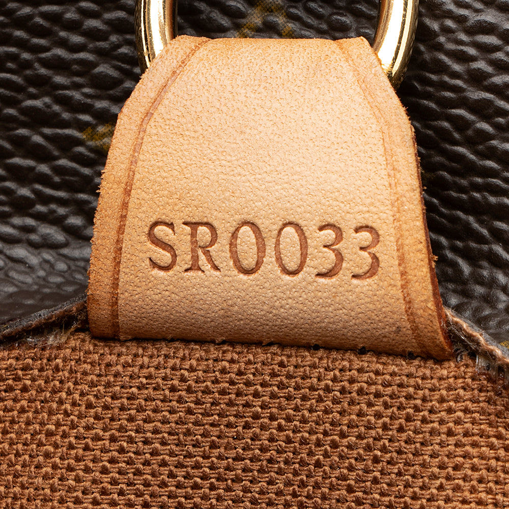 Louis Vuitton Monogram Canvas Vavin GM Tote - FINAL SALE (SHF-20317)