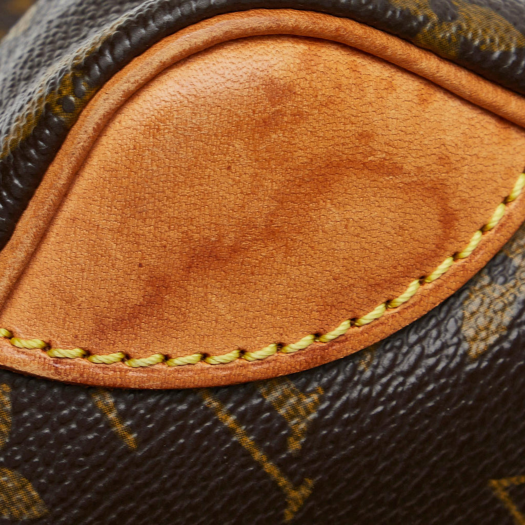 Louis Vuitton Monogram Danube (SHG-IGe484)