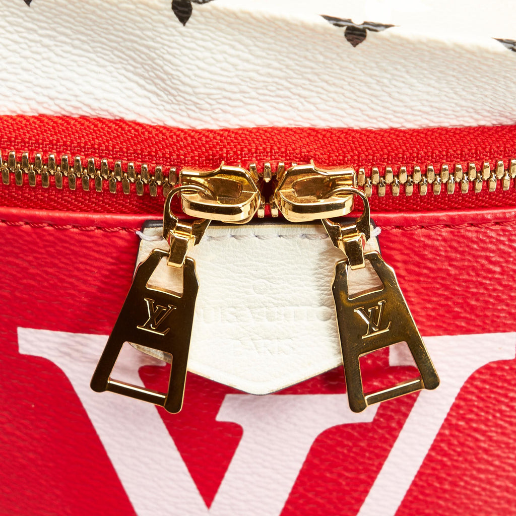 Louis Vuitton Monogram Giant Bumbag (SHG-sTkhgd)