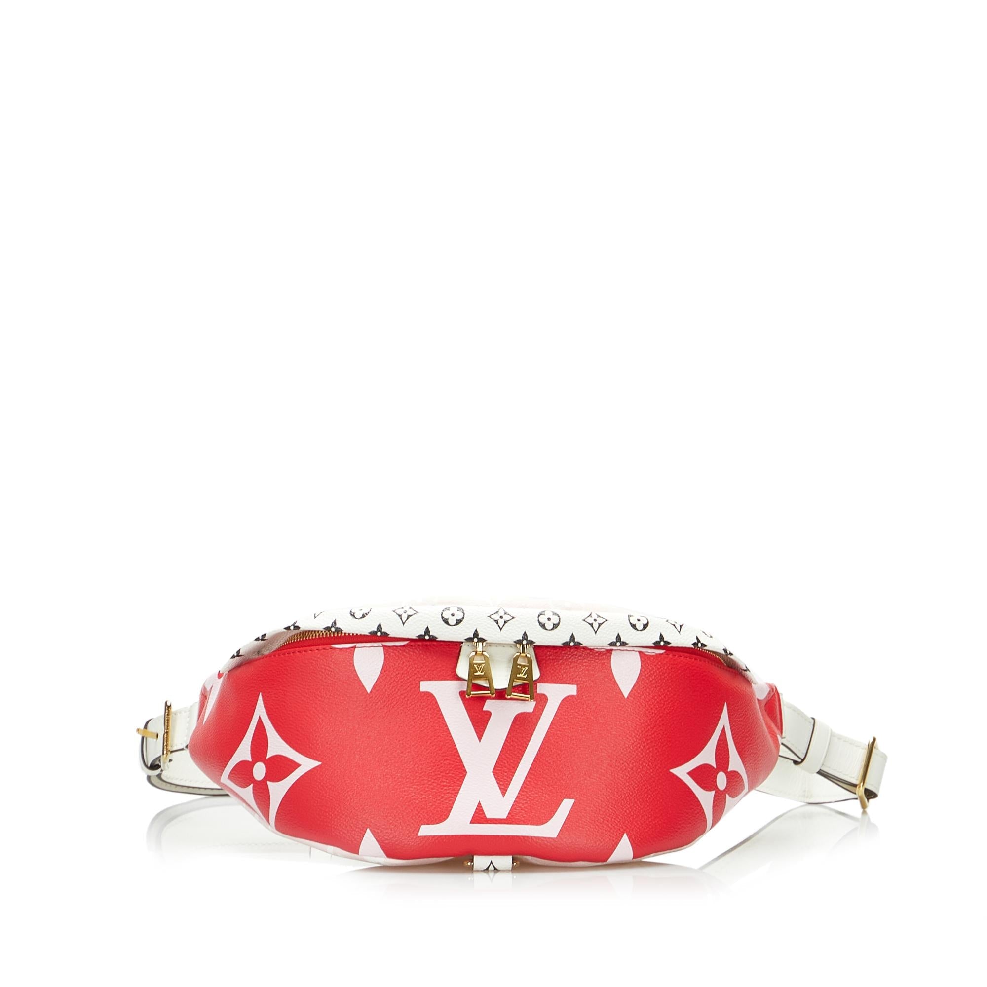 Louis Vuitton Monogram Giant Bumbag (SHG-sTkhgd)