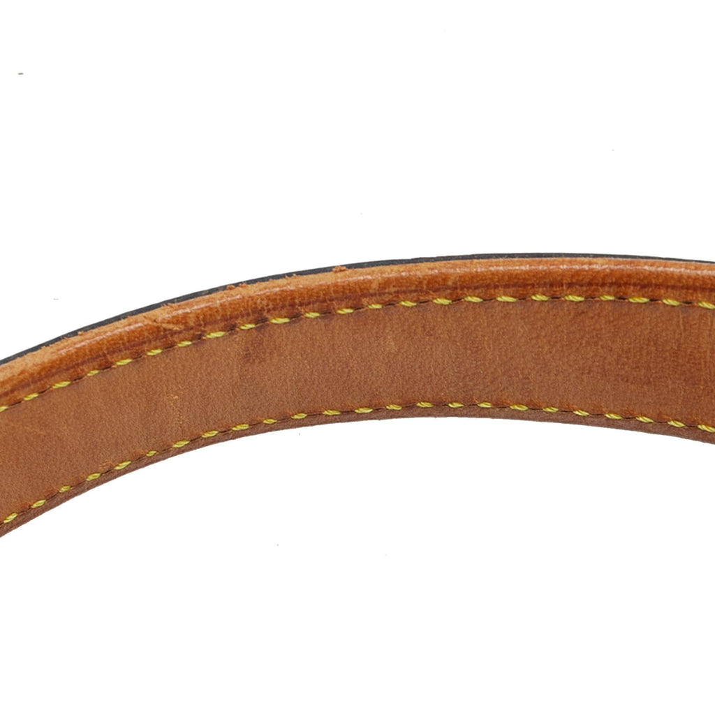 Louis Vuitton Monogram Mat Alston