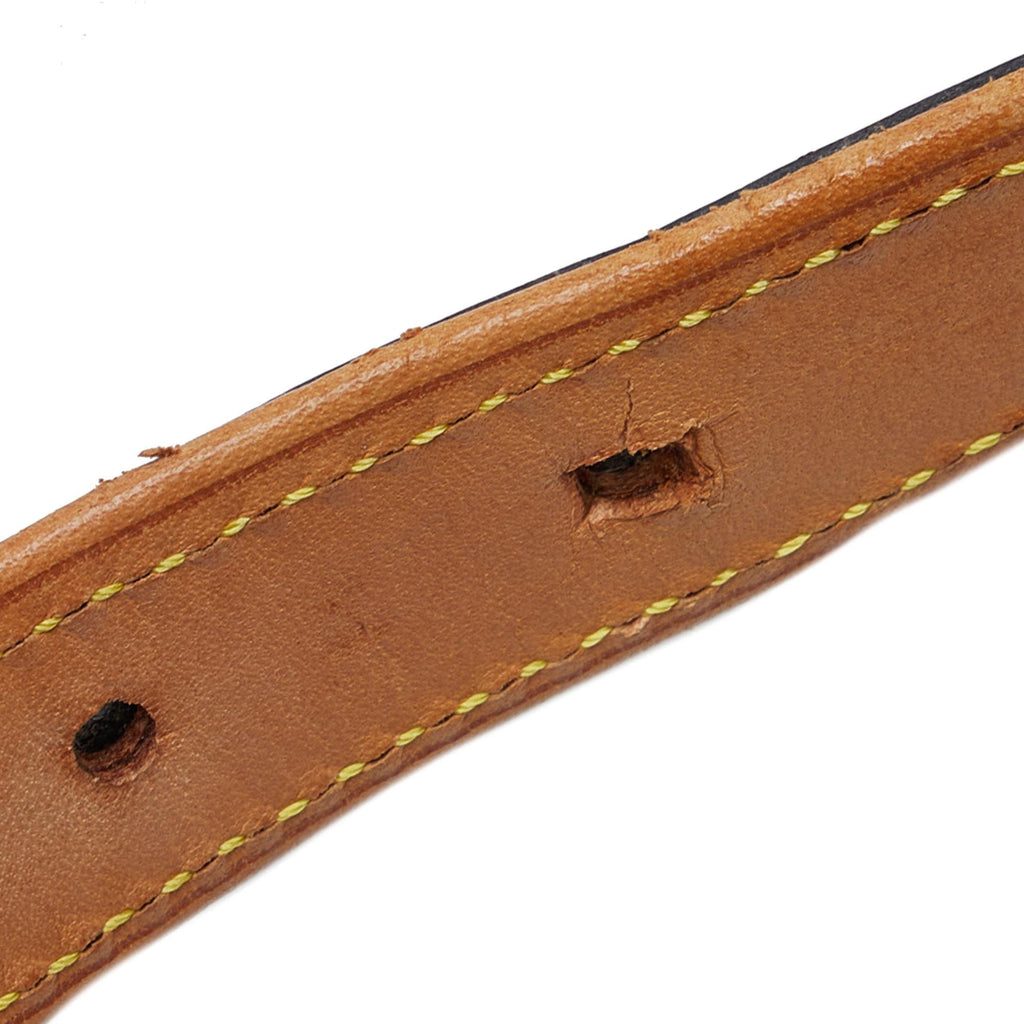 Louis Vuitton Monogram Mat Alston
