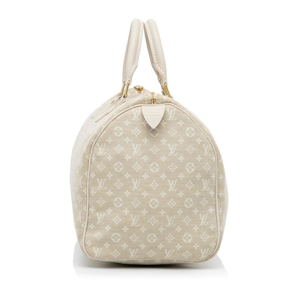 Louis Vuitton Monogram Mini Lin Speedy 30