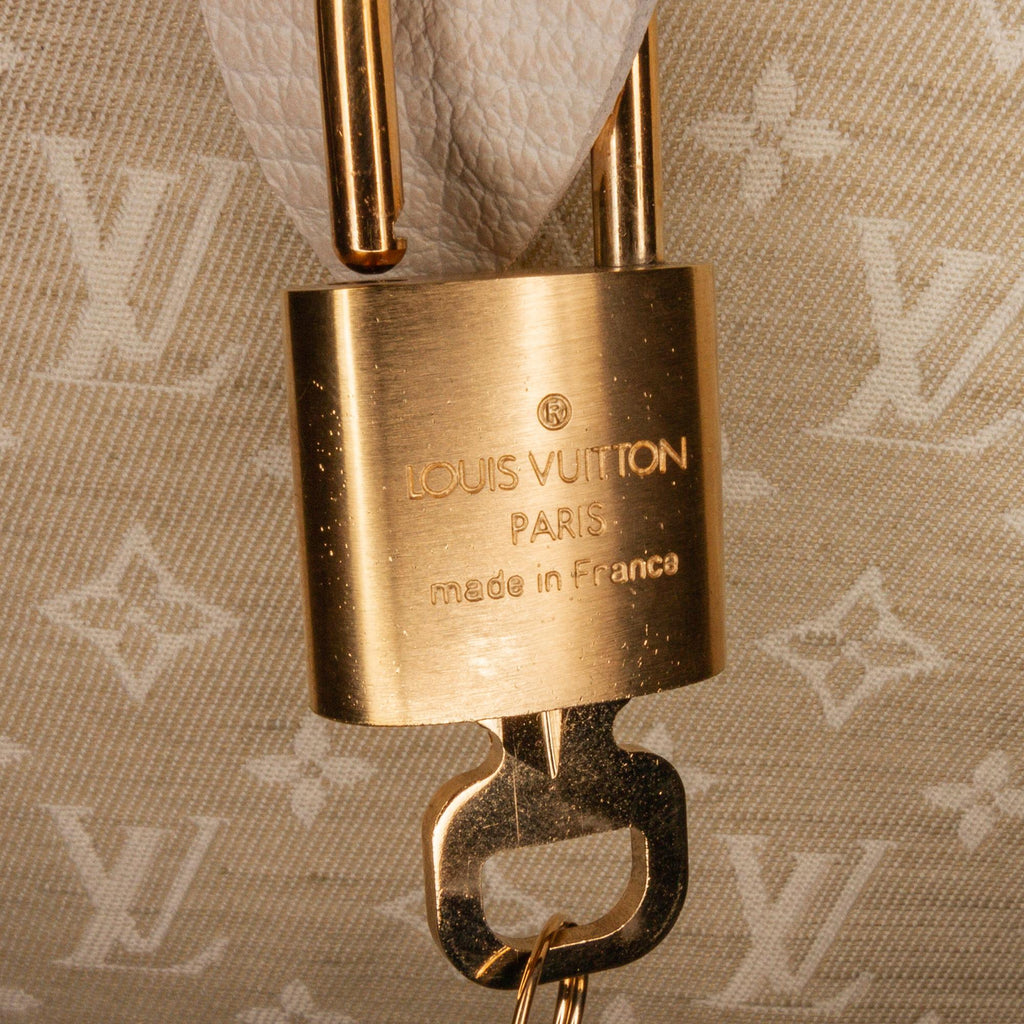 Louis Vuitton Monogram Mini Lin Speedy 30