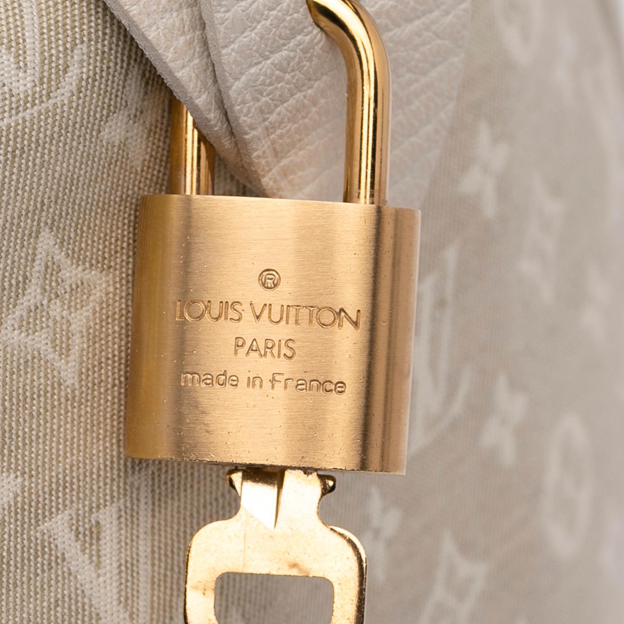 Louis Vuitton Monogram Mini Lin Speedy 30