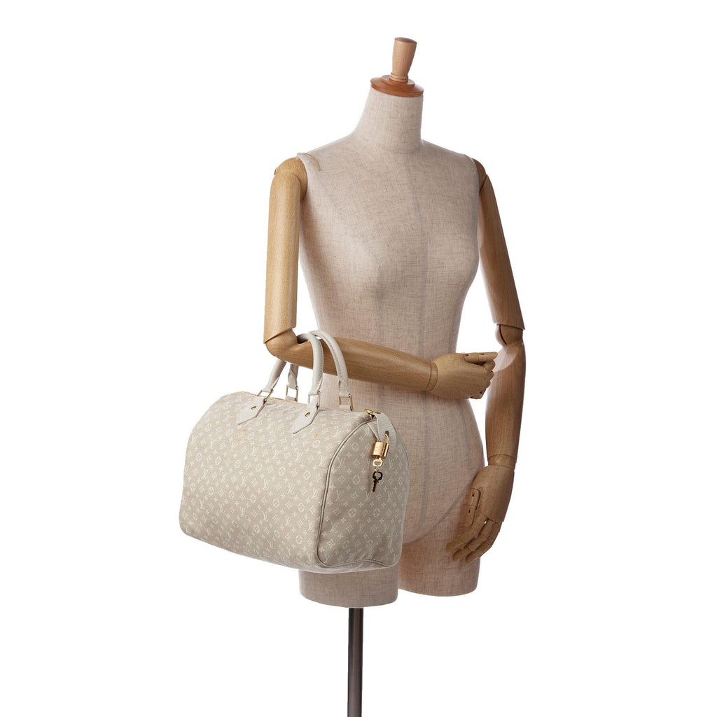 Louis Vuitton Monogram Mini Lin Speedy 30