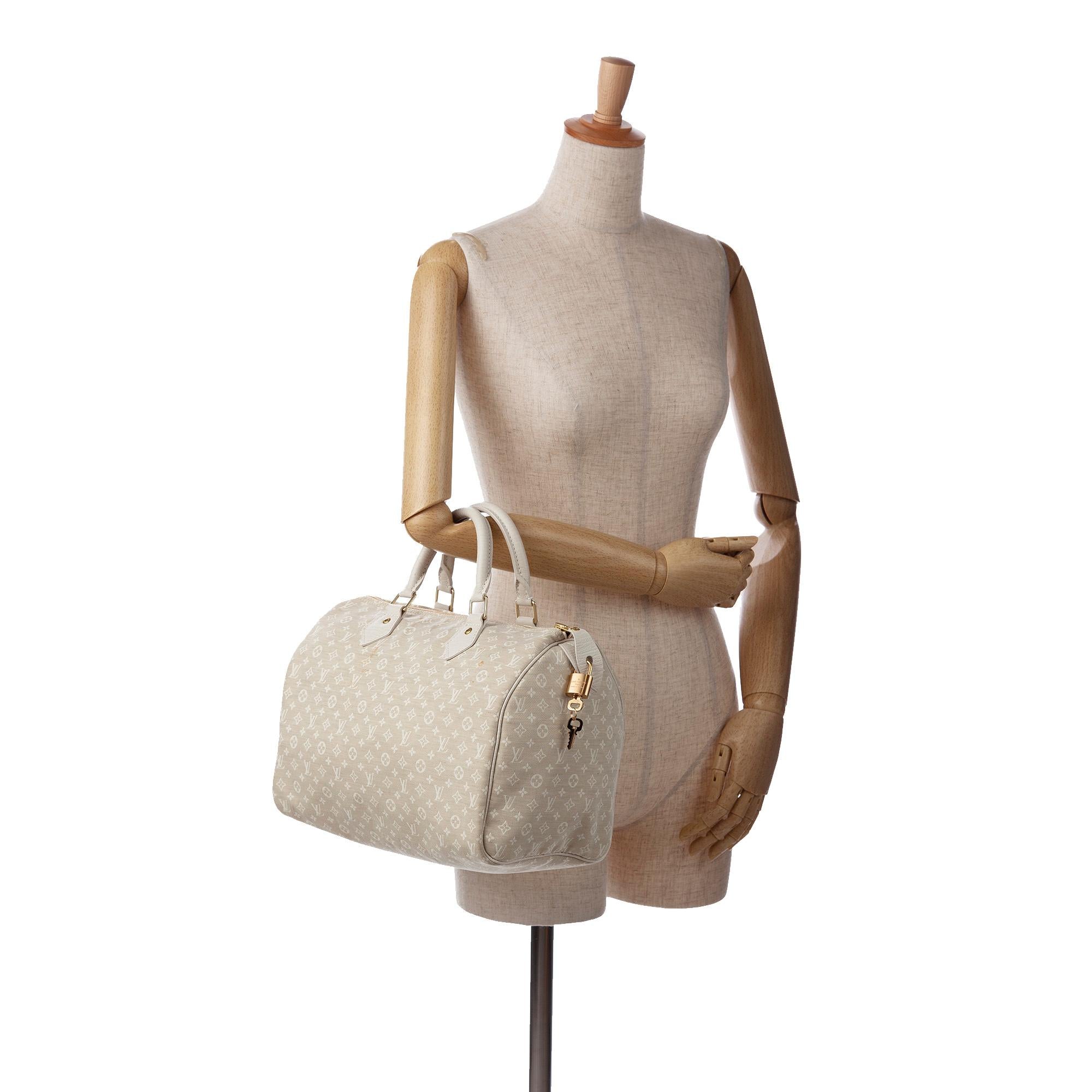 Louis Vuitton Monogram Mini Lin Speedy 30