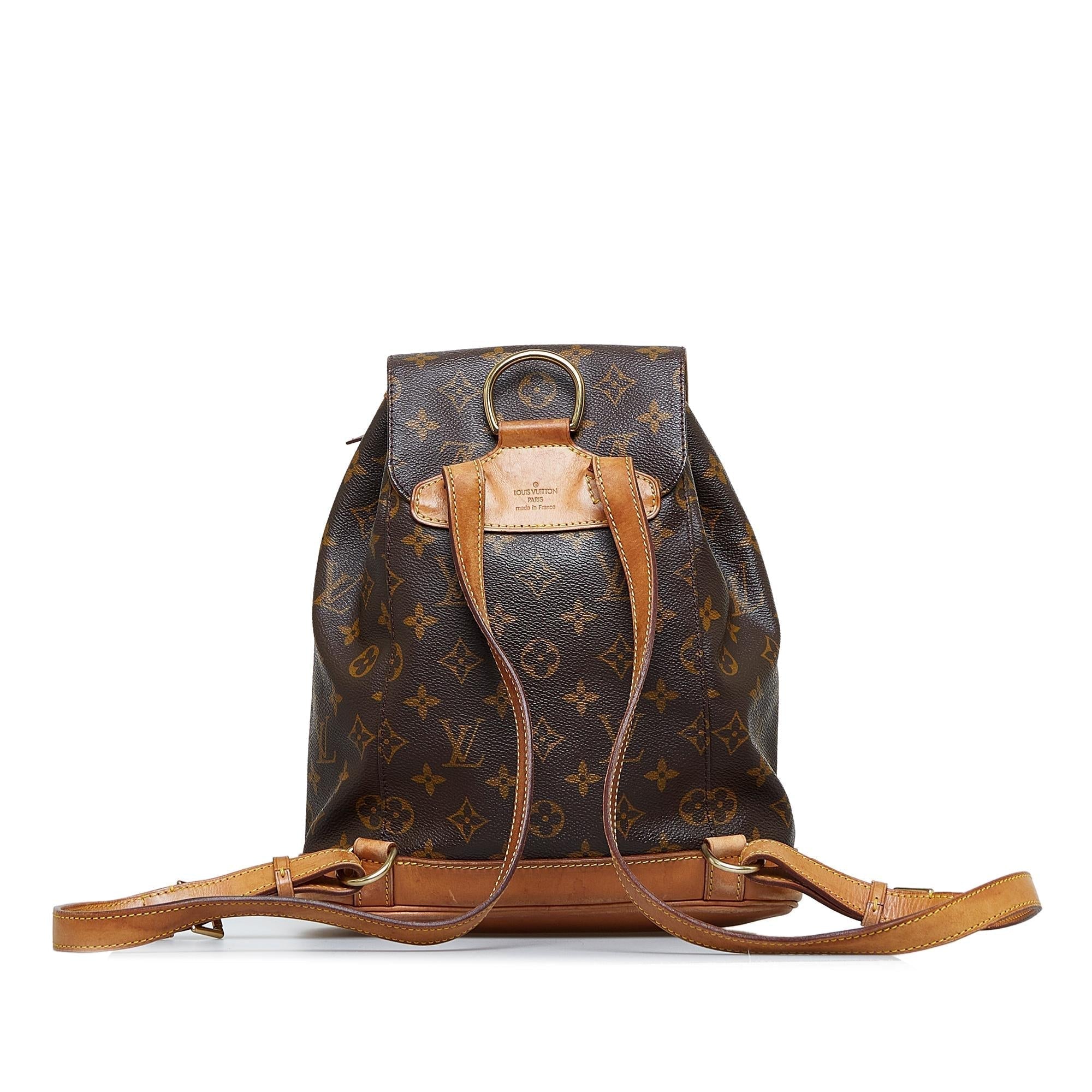 Louis Vuitton Monogram Montsouris MM