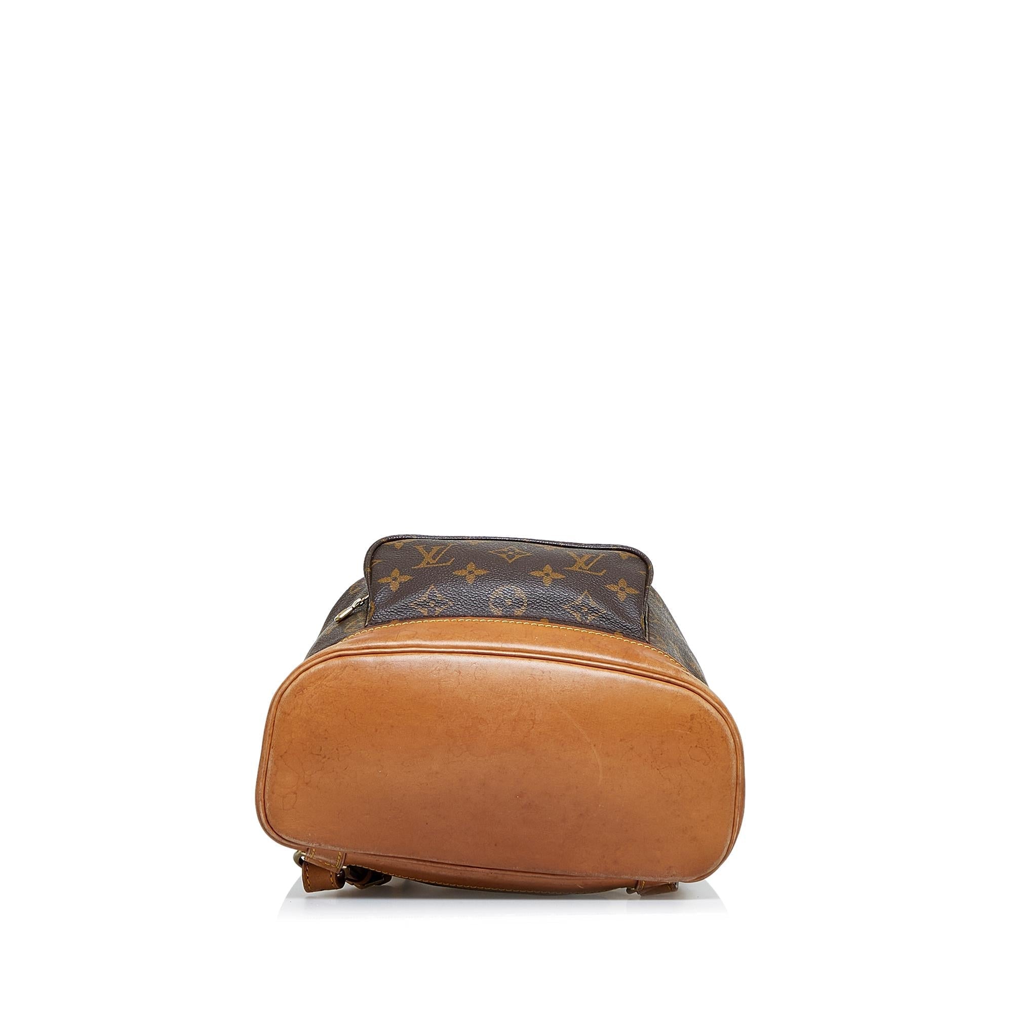 Louis Vuitton Monogram Montsouris MM