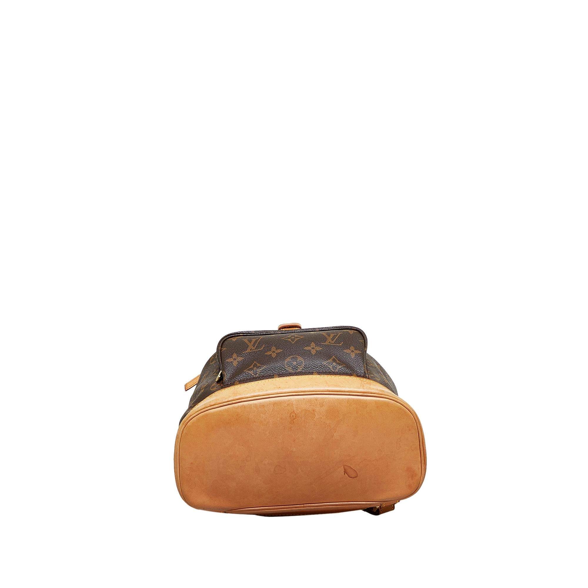 Louis Vuitton Monogram Montsouris MM