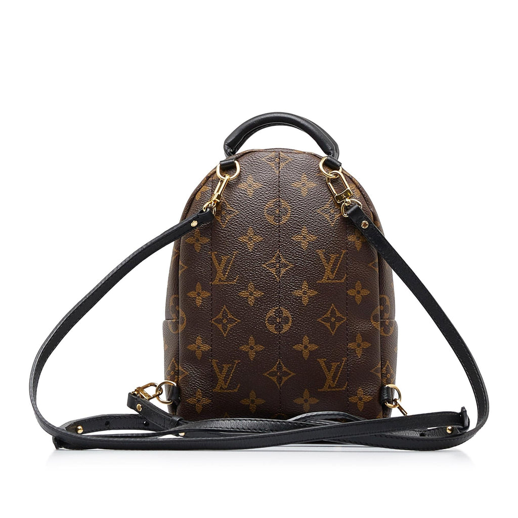 Louis Vuitton Monogram Palm Springs Mini (SHG-2nZ70X)