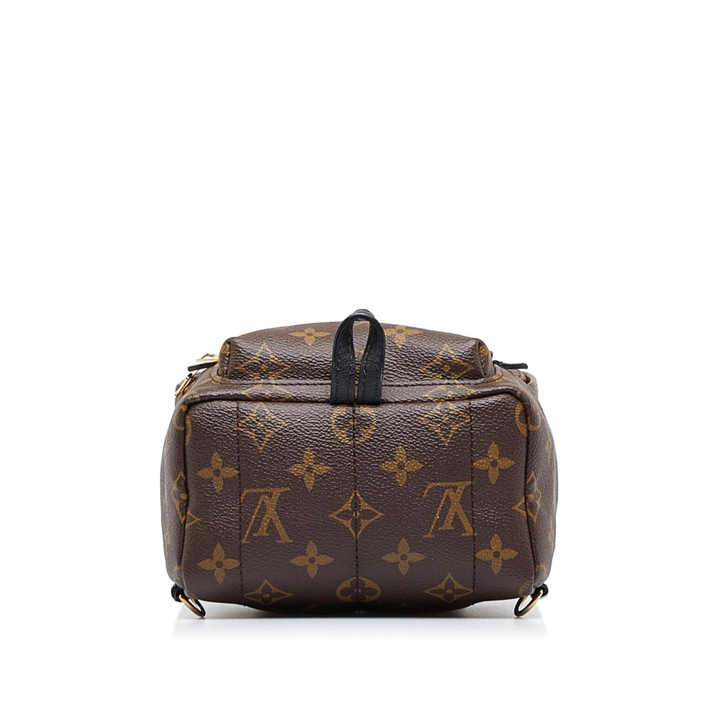 Louis Vuitton Monogram Palm Springs Mini (SHG-2nZ70X)