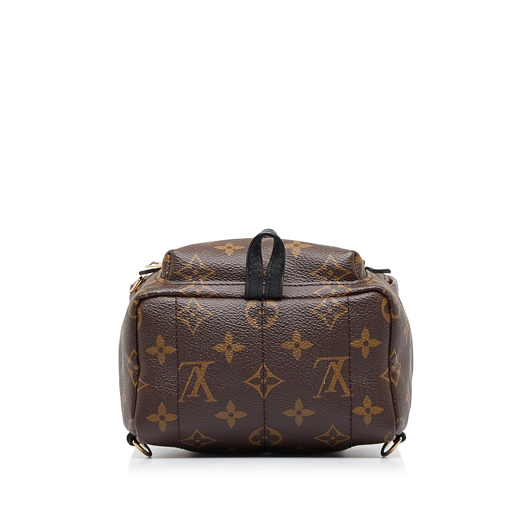 Louis Vuitton Monogram Palm Springs Mini (SHG-2nZ70X)