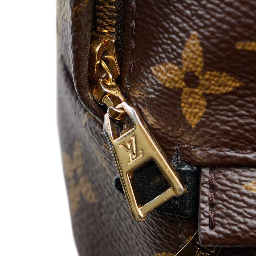 Louis Vuitton Monogram Palm Springs Mini (SHG-2nZ70X)