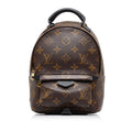 Louis Vuitton Monogram Palm Springs Mini (SHG-2nZ70X)