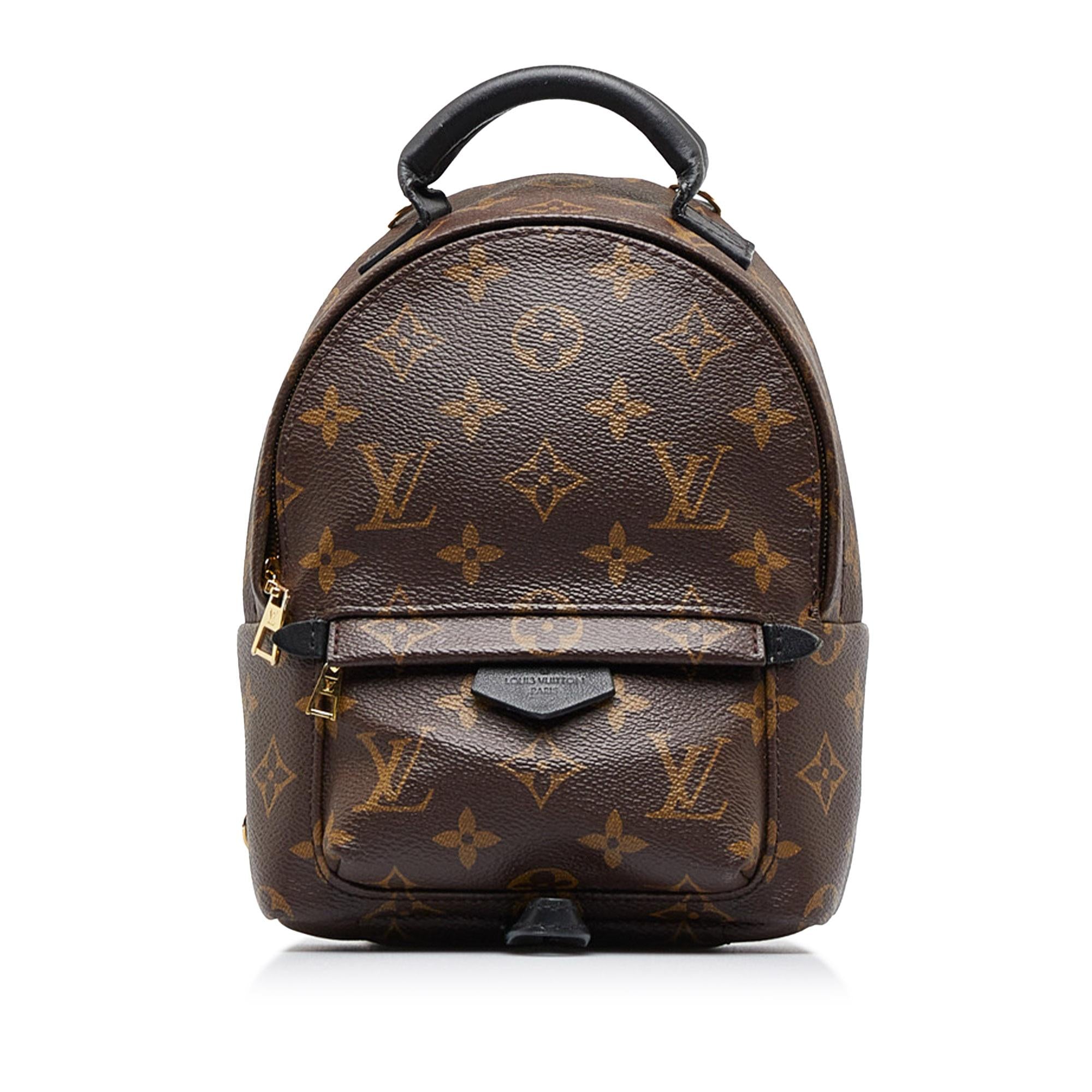 Louis Vuitton Monogram Palm Springs Mini (SHG-2nZ70X)