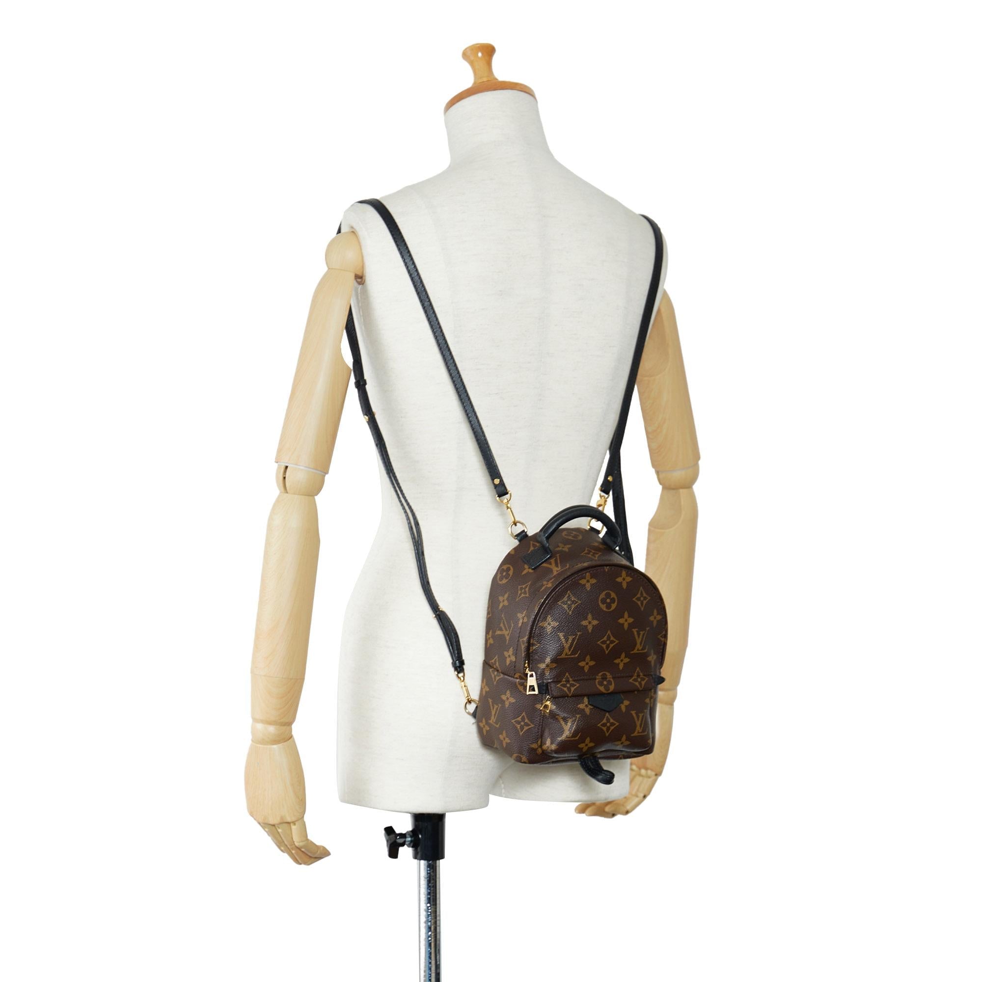 Louis Vuitton Monogram Palm Springs Mini (SHG-2nZ70X)
