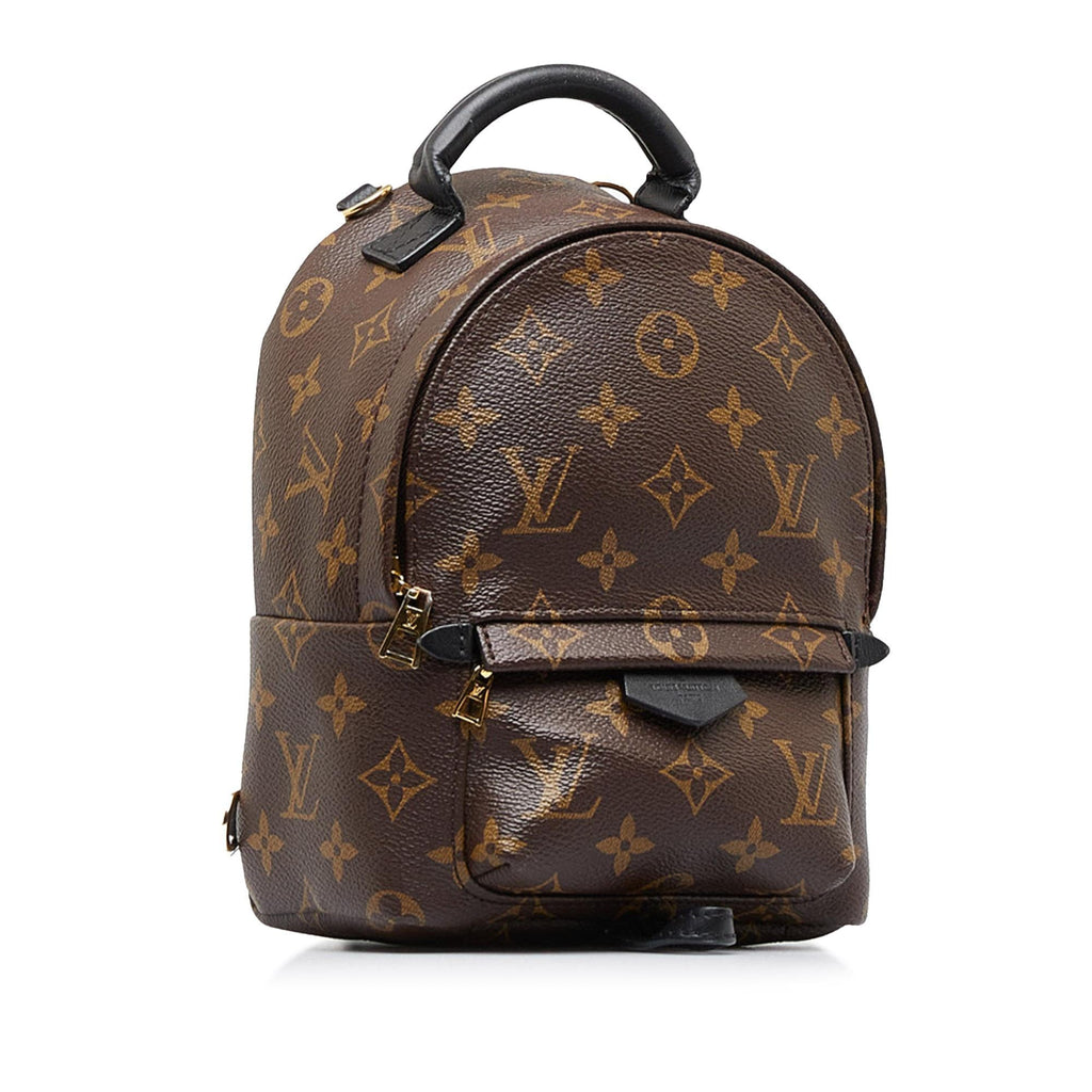 Louis Vuitton Monogram Palm Springs Mini (SHG-2nZ70X)