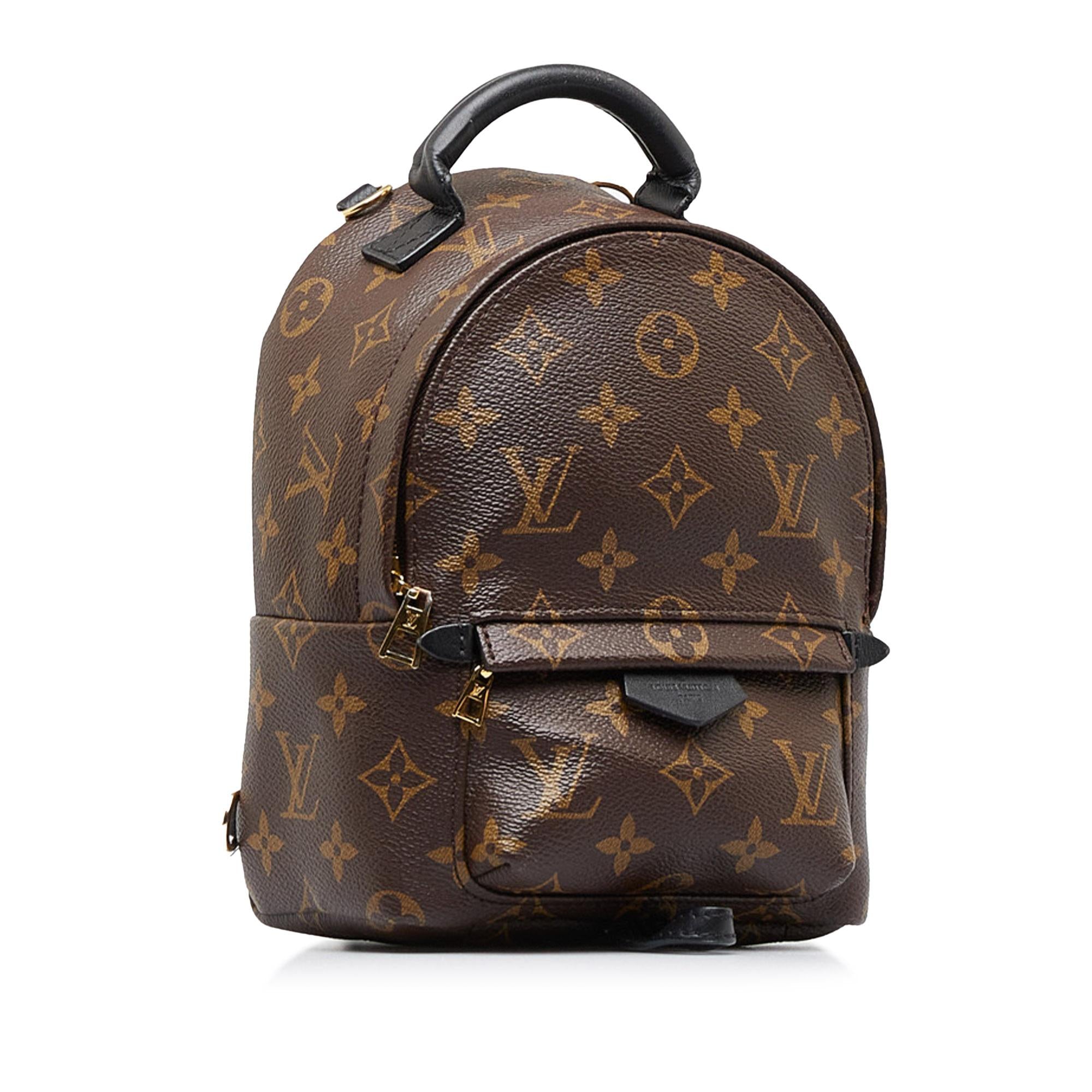 Louis Vuitton Monogram Palm Springs Mini (SHG-2nZ70X)