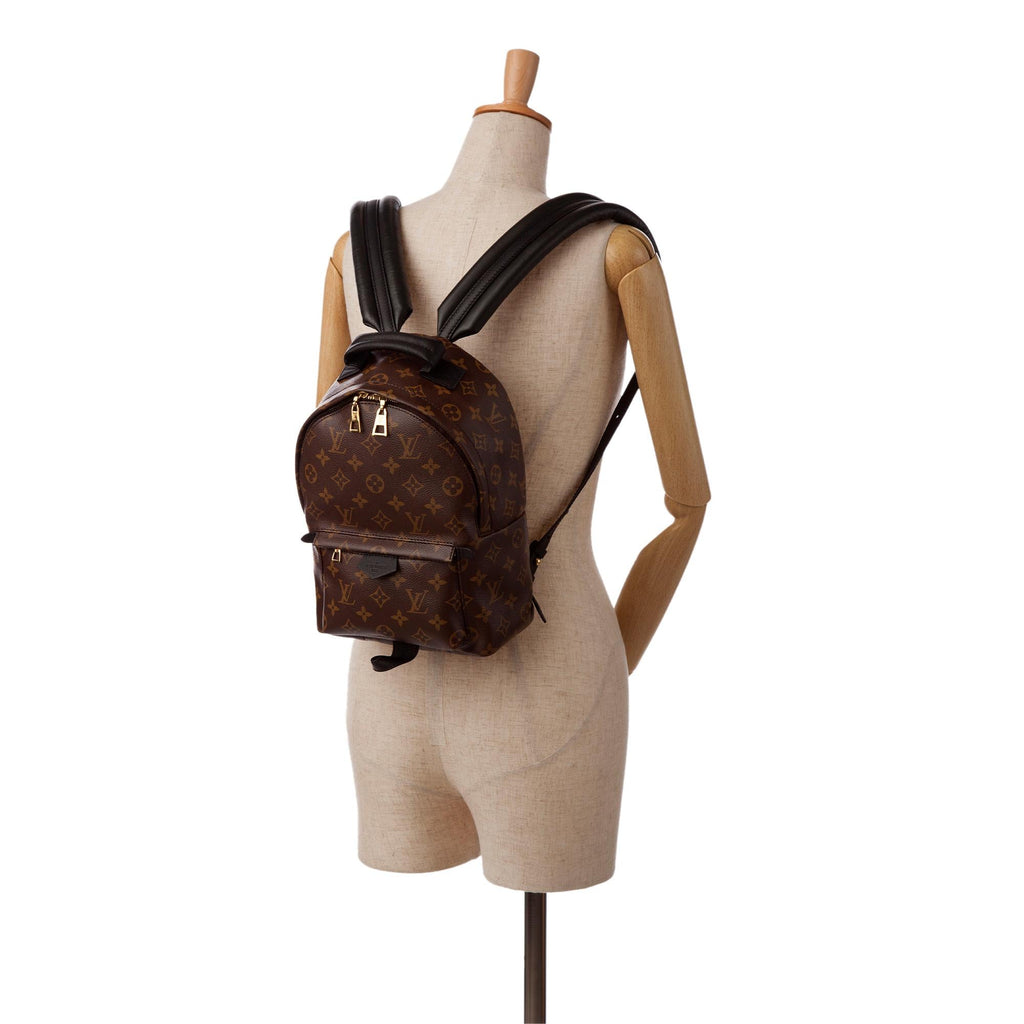 Louis Vuitton Monogram Palm Springs PM (SHG-Y129BK)