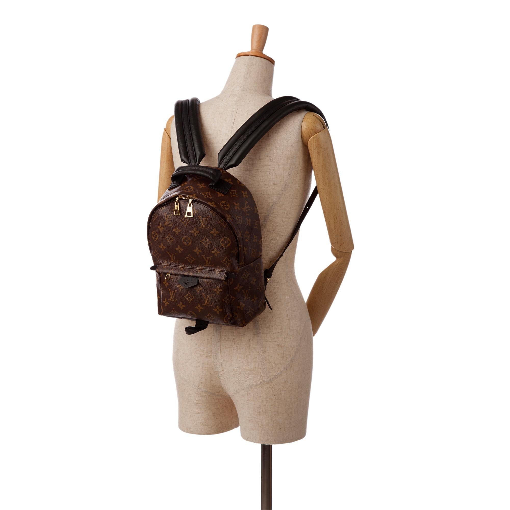 Louis Vuitton Monogram Palm Springs PM (SHG-Y129BK)