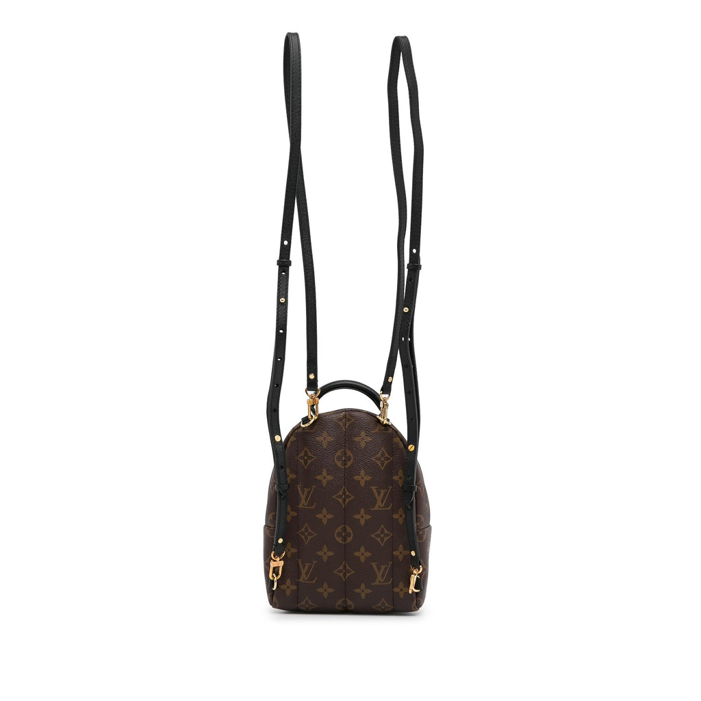Louis Vuitton Monogram Palm Springs PM (SHG-rrsyfX)