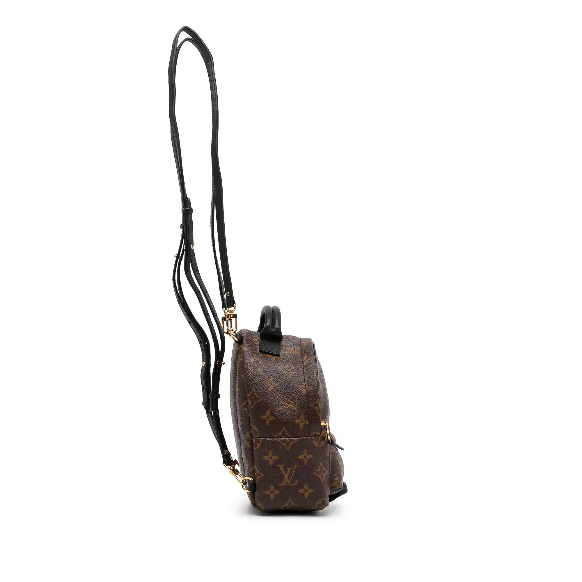 Louis Vuitton Monogram Palm Springs PM (SHG-rrsyfX)