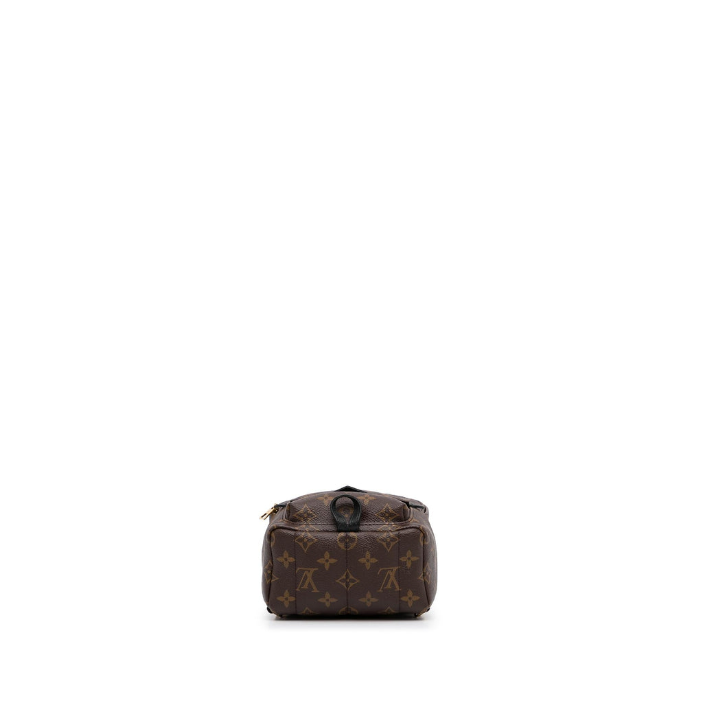 Louis Vuitton Monogram Palm Springs PM (SHG-rrsyfX)
