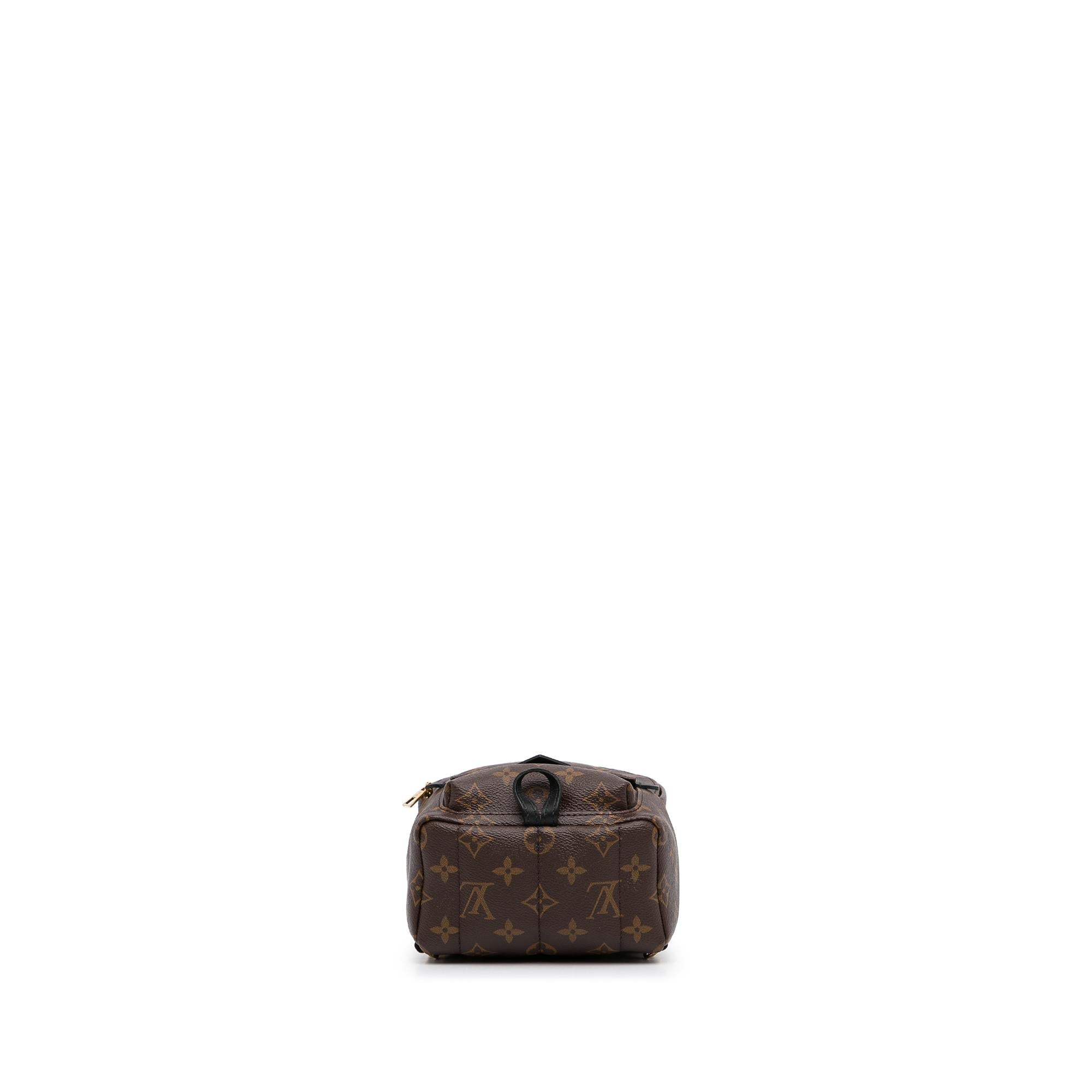 Louis Vuitton Monogram Palm Springs PM (SHG-rrsyfX)