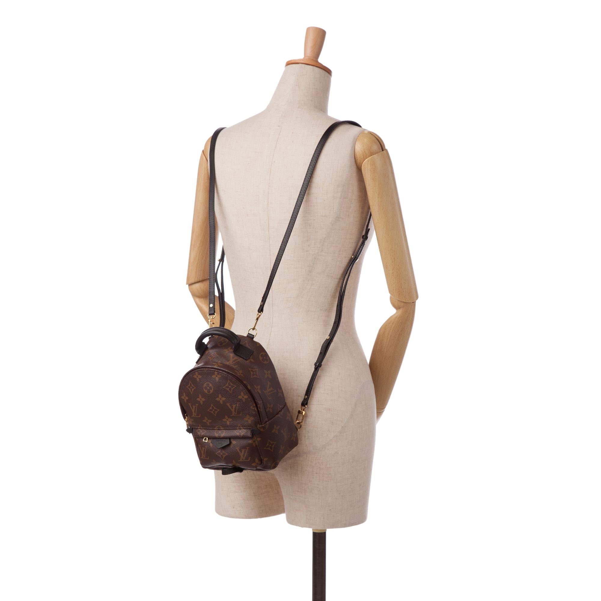 Louis Vuitton Monogram Palm Springs PM (SHG-rrsyfX)