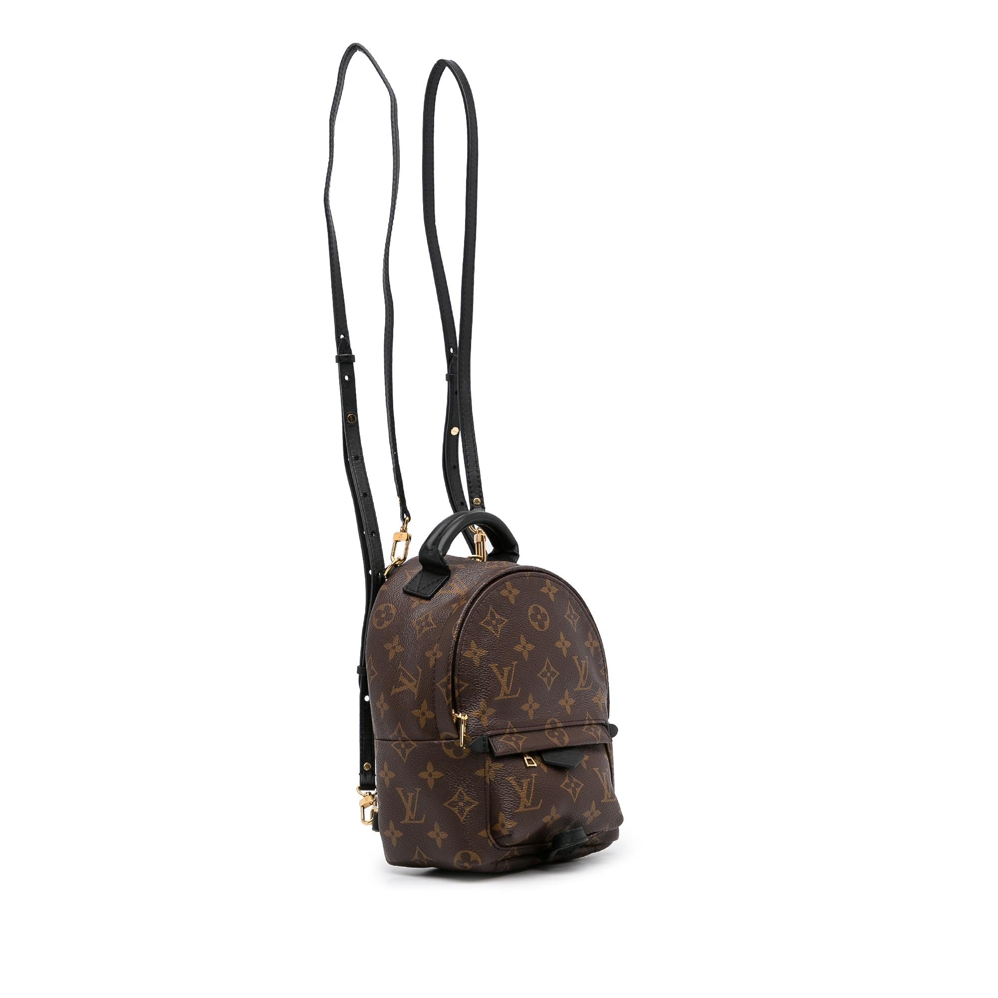 Louis Vuitton Monogram Palm Springs PM (SHG-rrsyfX)