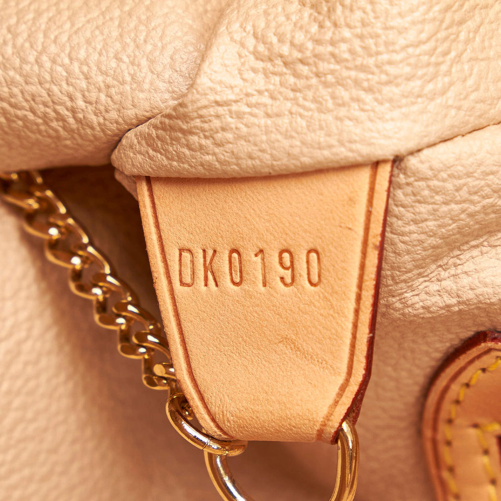 Louis Vuitton Monogram Petit Bucket (SHG-36312)