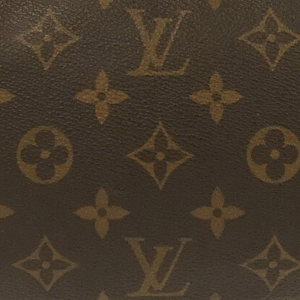 Louis Vuitton Monogram Pochette Accessoires (SHG-c3osKC)