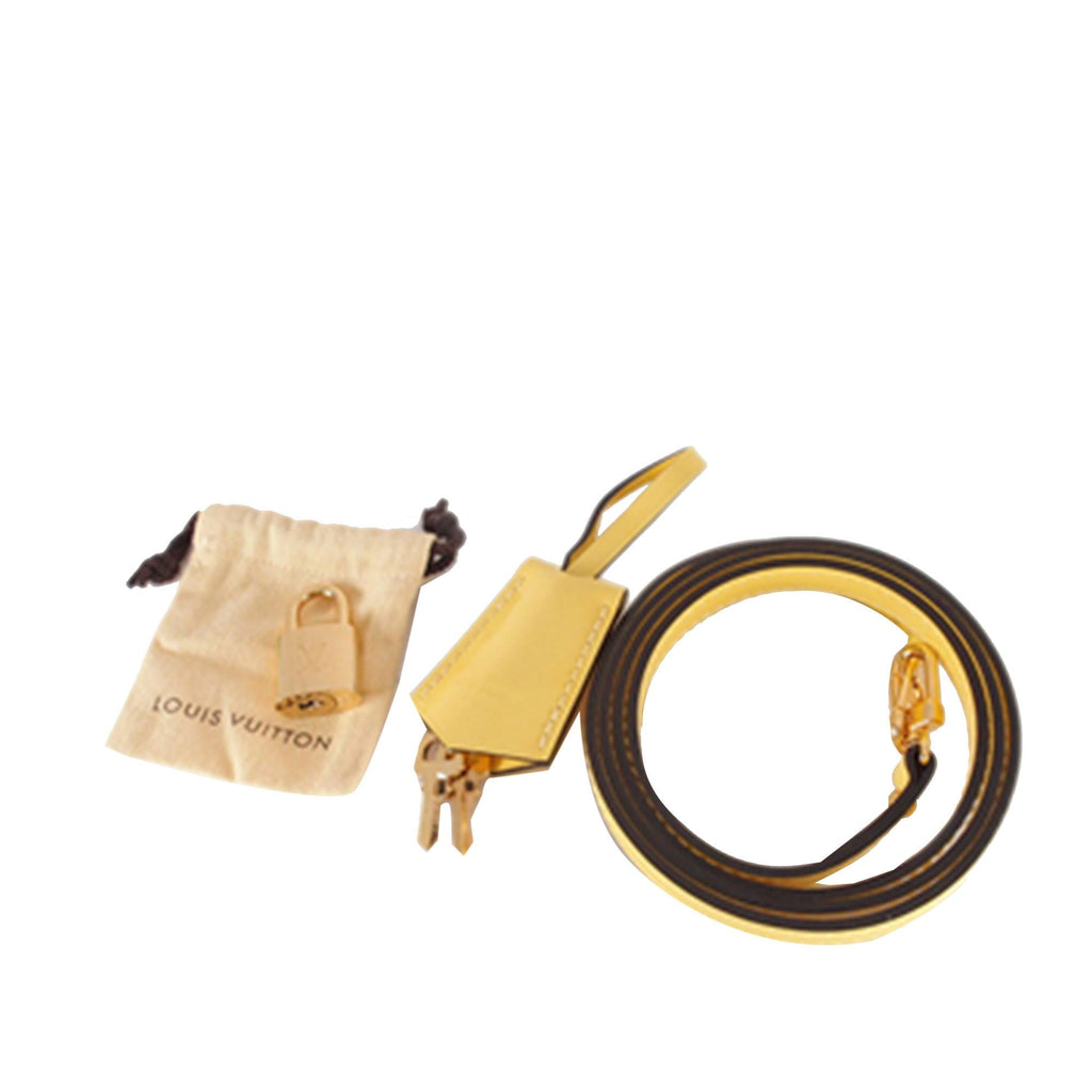 Louis Vuitton Monogram Vernis Alma BB (SHG-1NCxxW)