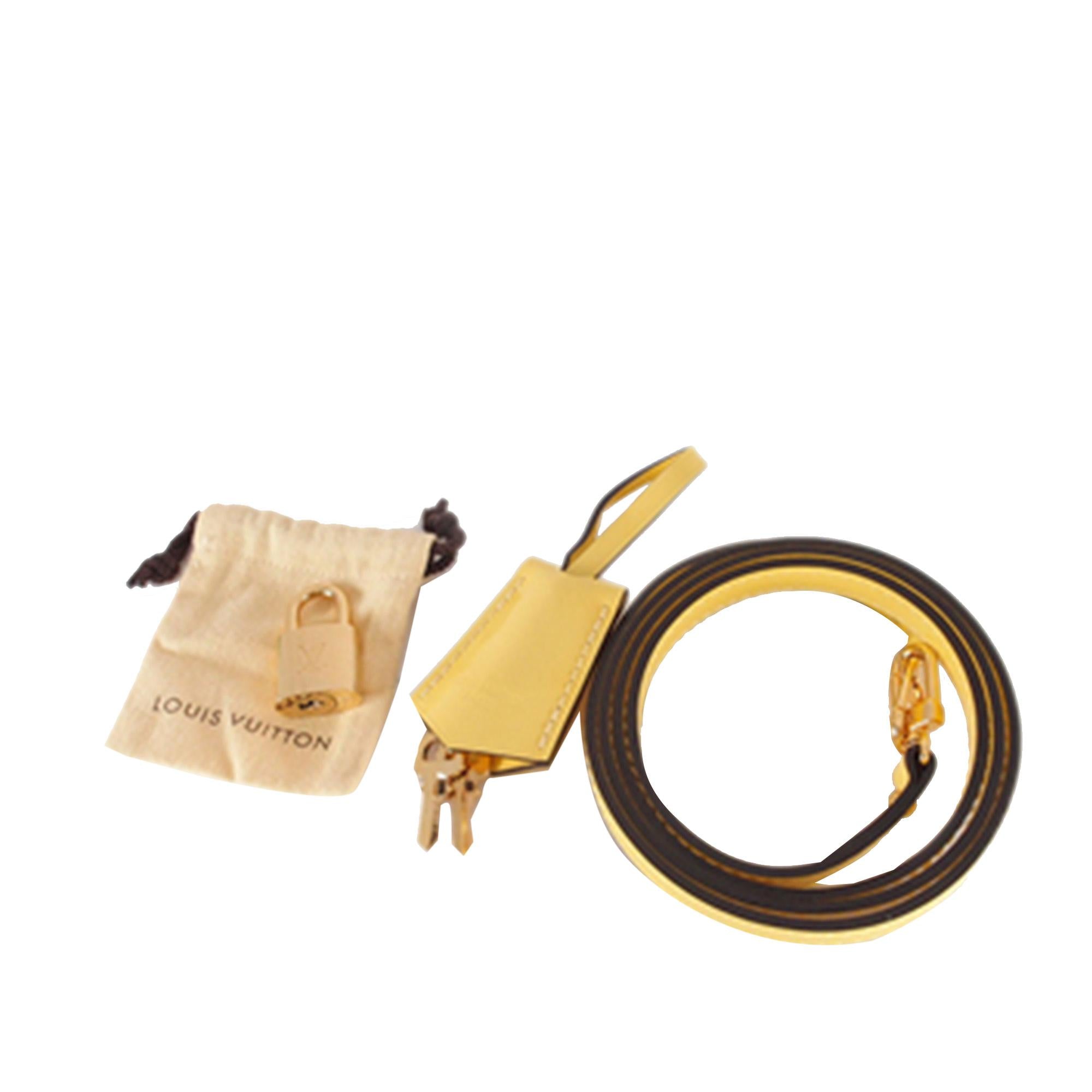 Louis Vuitton Monogram Vernis Alma BB (SHG-1NCxxW)