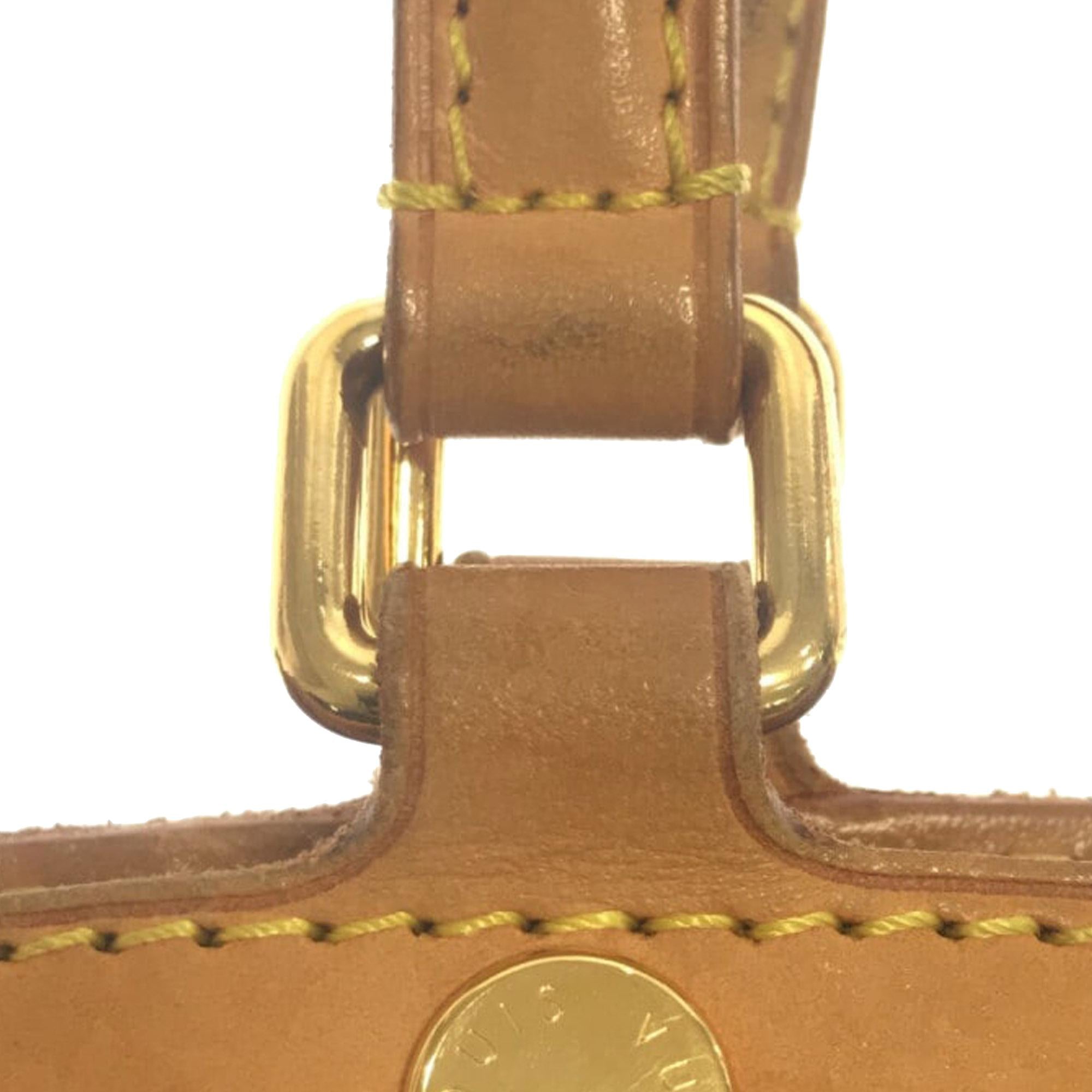 Louis Vuitton Monogram Vernis Brea MM