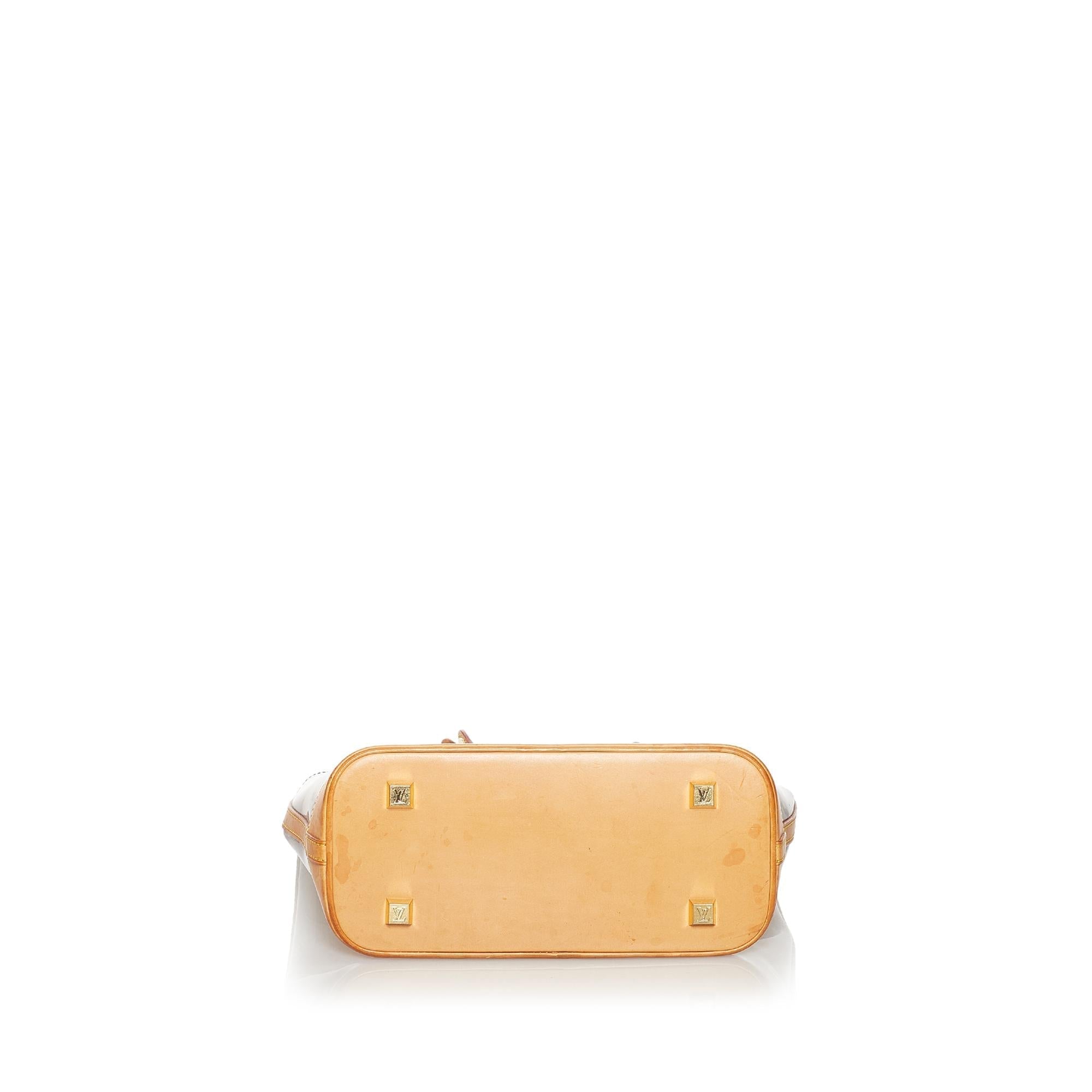 Louis Vuitton Monogram Vinyl Cabas Sac Ambre MM (SHG-31170)