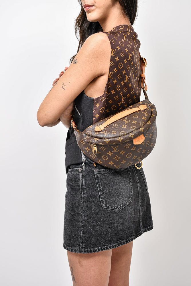 Louis Vuitton Monogram Bum Bag