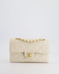 Chanel Vintage Beige Raffia Small Classic Double Flap Bag with Chocolate Brown Lambskin Interior and Brushed Gold Hardware