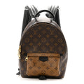 Louis Vuitton Reverse Monogram Palm Springs Backpack PM