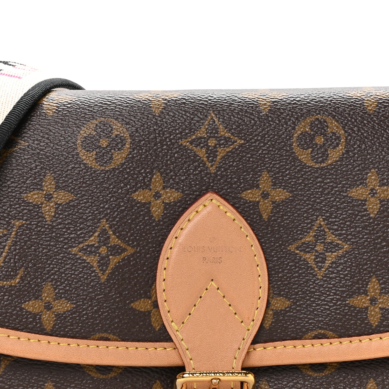 Louis Vuitton Monogram Diane Black