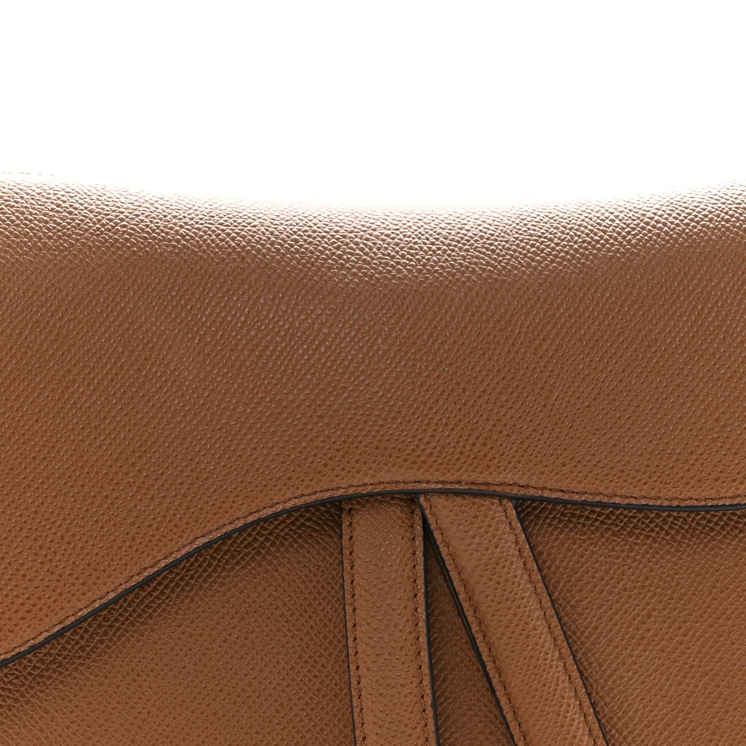 Christian Dior Grained Calfskin Saddle Bag Golden Saddle
