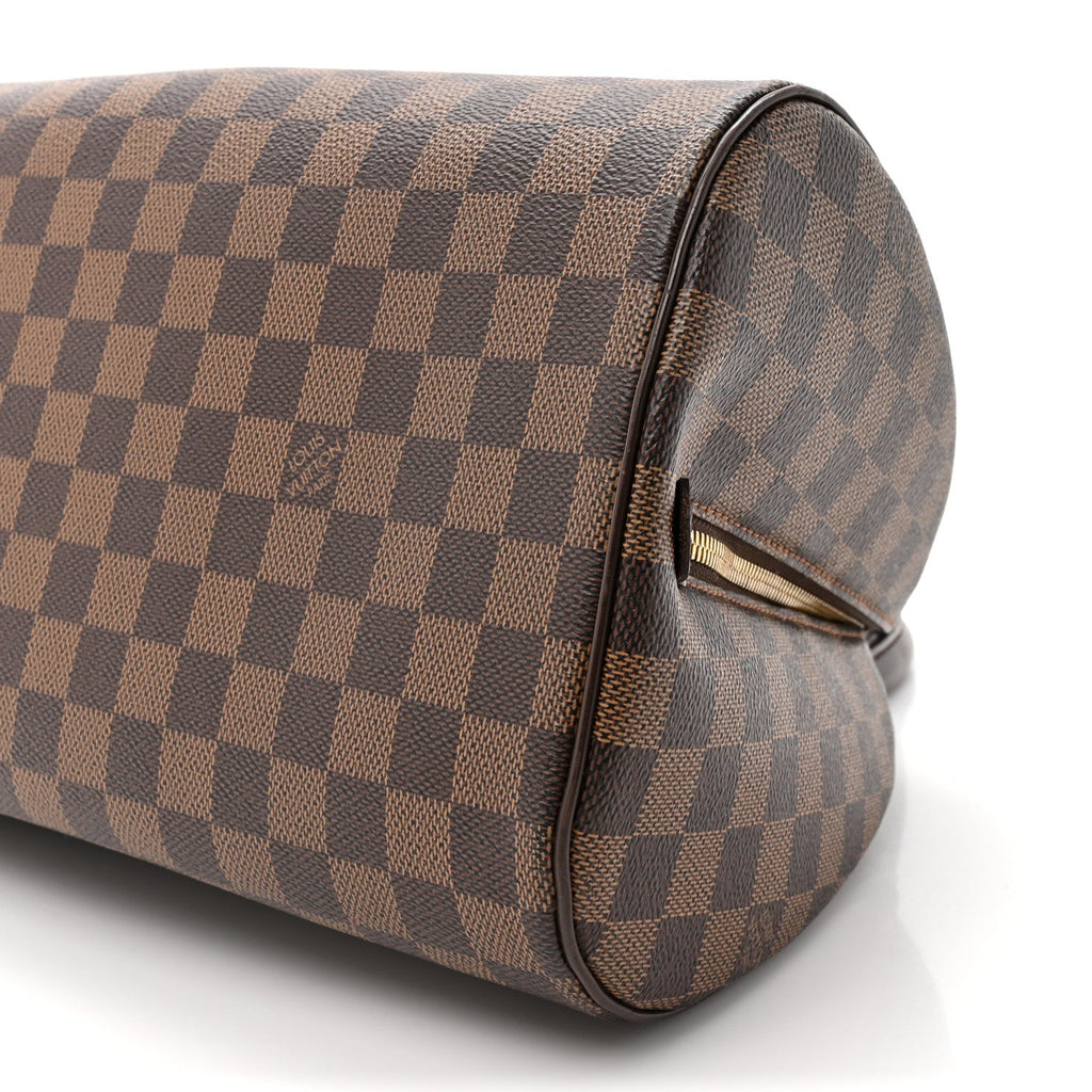 Louis Vuitton Damier Ebene Ribera MM