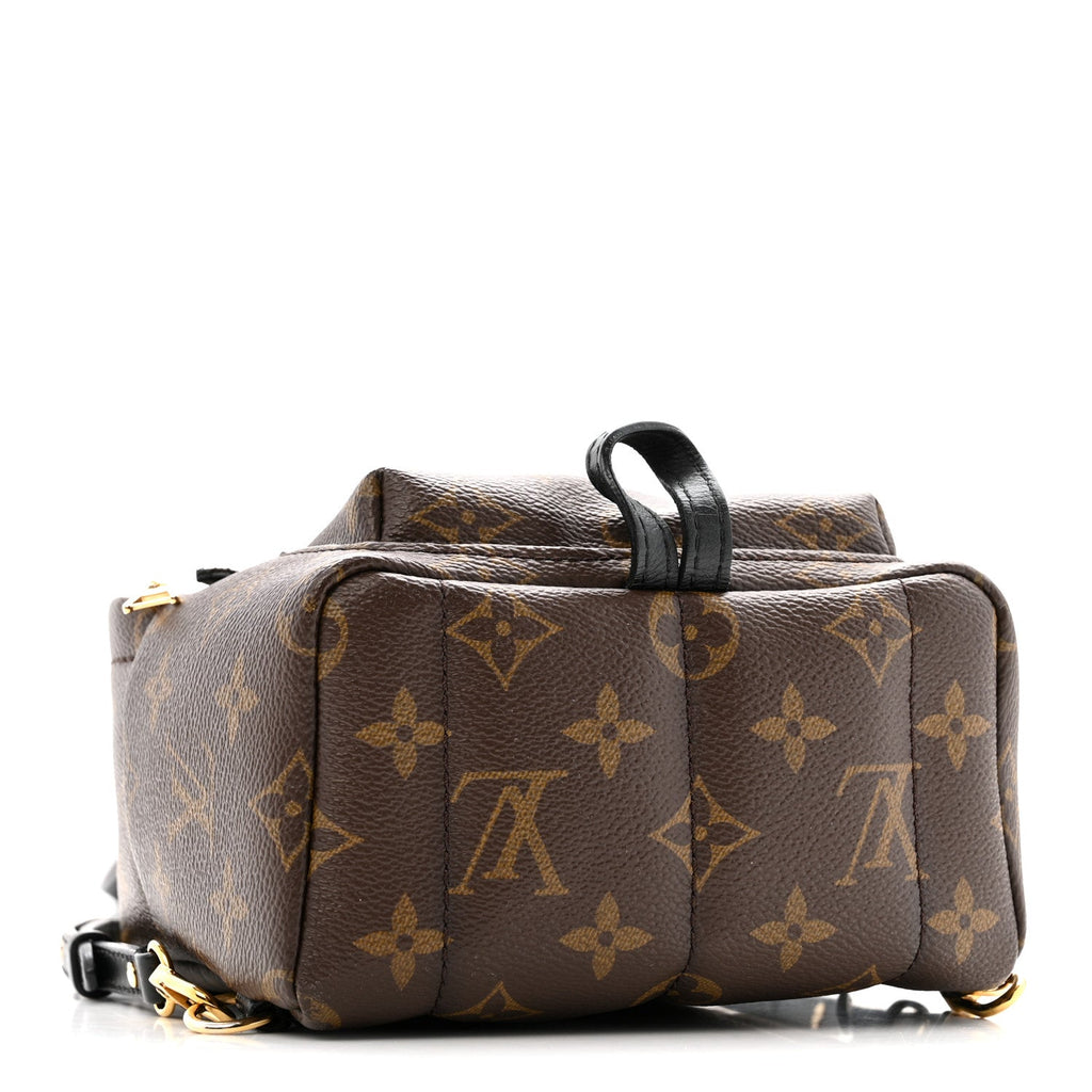 Louis Vuitton Monogram Palm Springs Backpack Mini