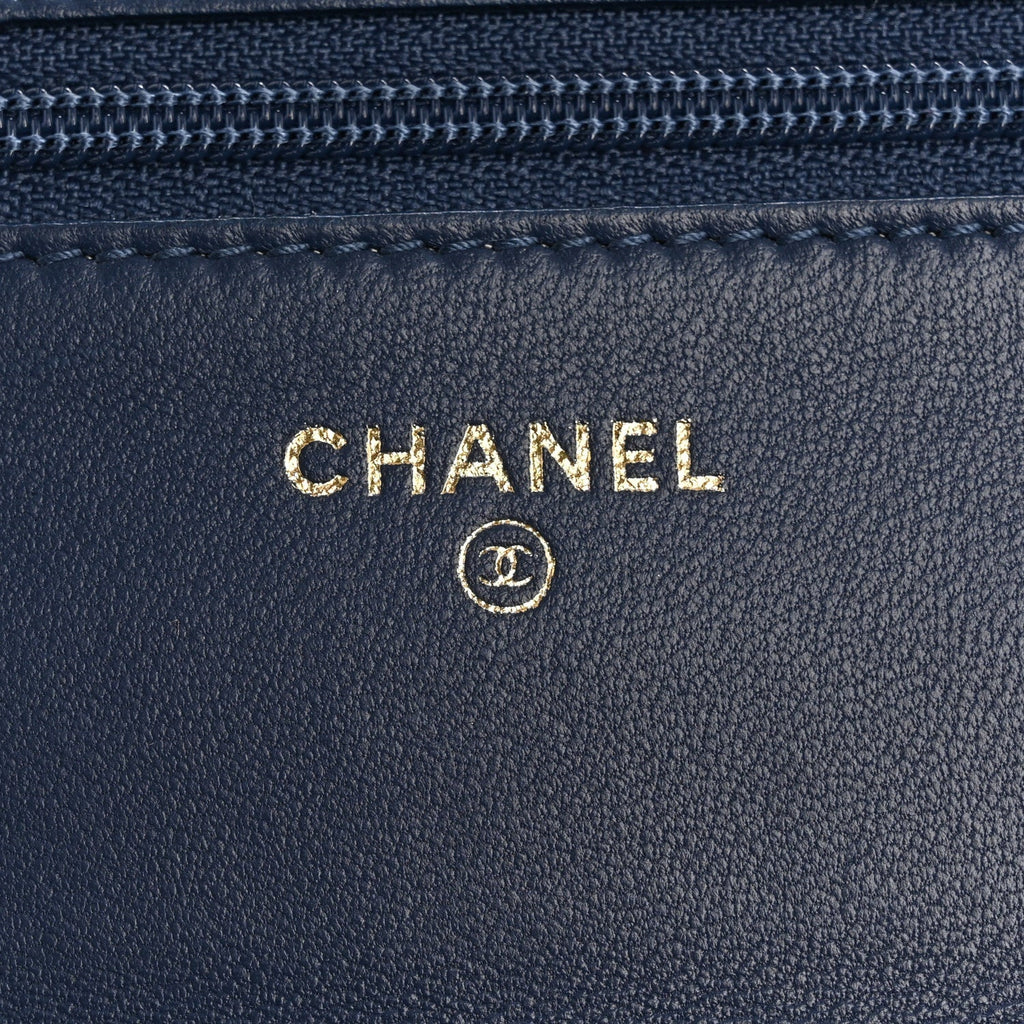 Chanel Snakeskin Wallet On Chain WOC Blue
