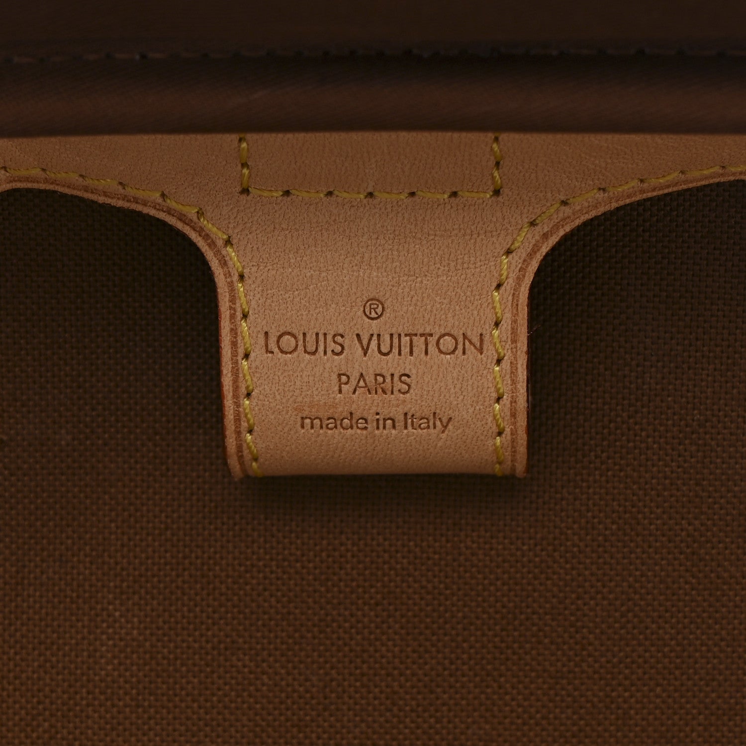 Louis Vuitton Monogram Garment Cover 2 Hangers