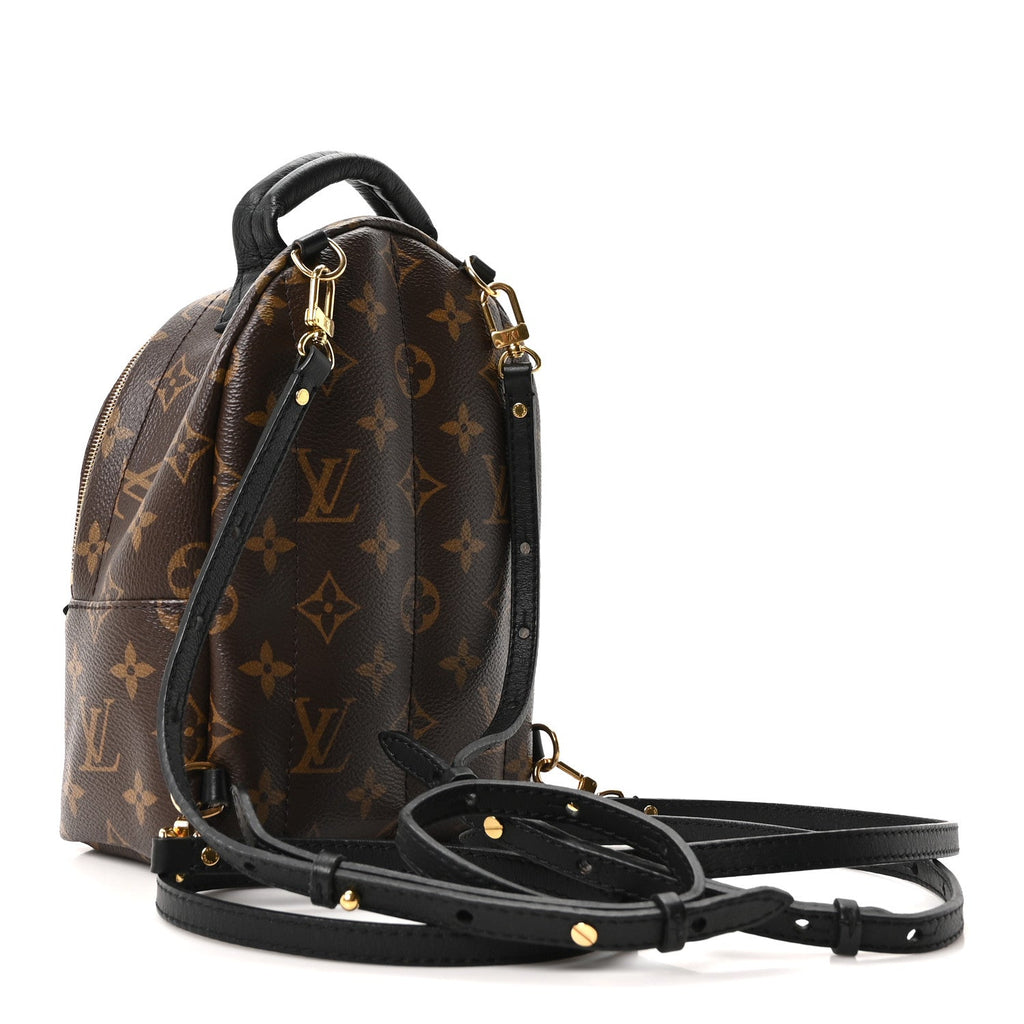 Louis Vuitton Monogram Palm Springs Backpack Mini