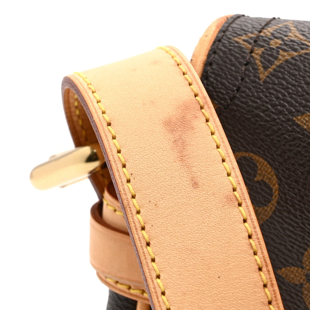 Louis Vuitton Monogram Hudson PM