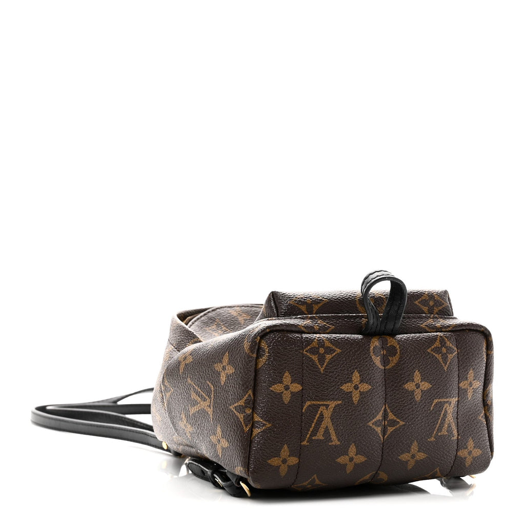 Louis Vuitton Monogram Palm Springs Backpack Mini