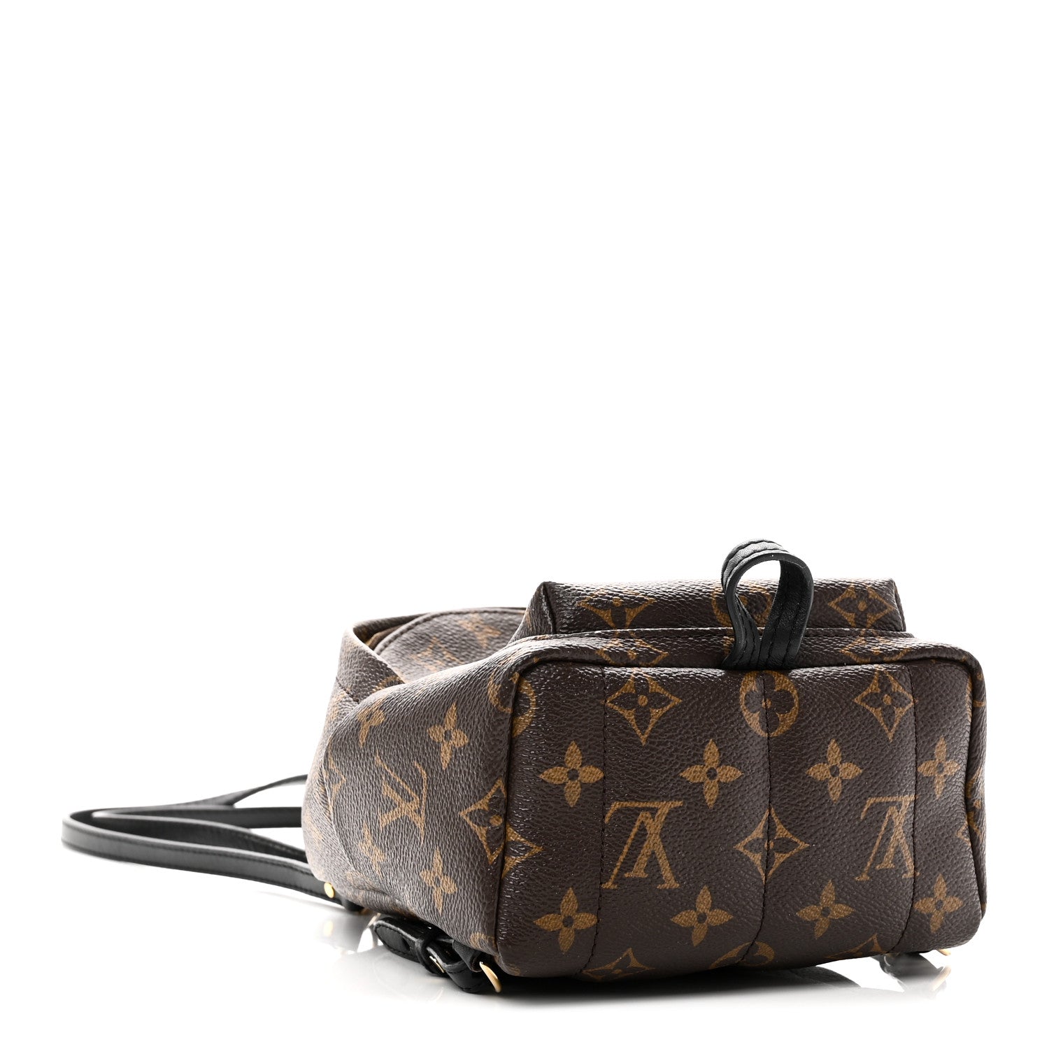 Louis Vuitton Monogram Palm Springs Backpack Mini